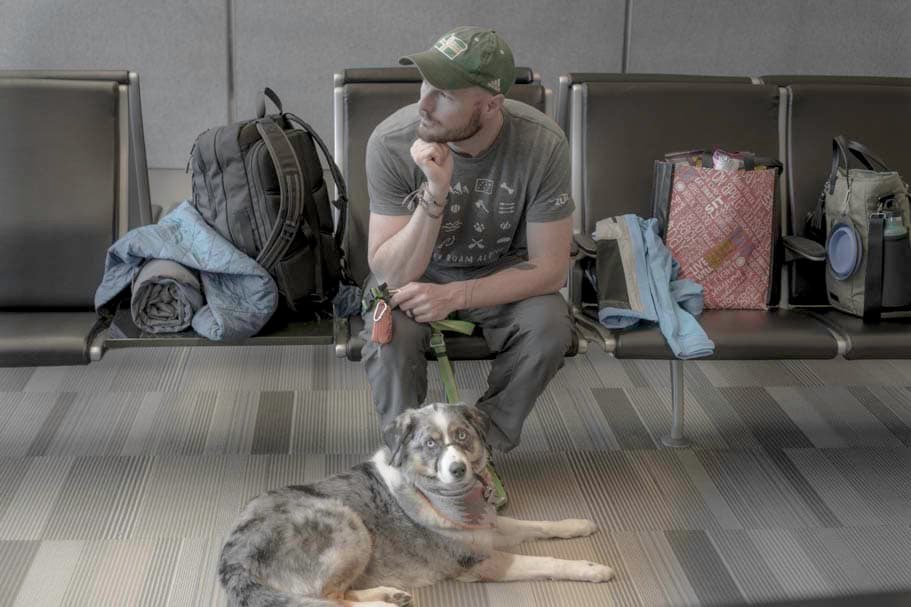 9 Tips For Flying With A Pet